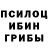 Псилоцибиновые грибы Psilocybe Artjoms Merkulovs