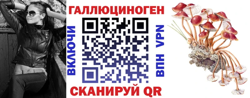 Псилоцибиновые грибы прущие грибы Ивангород